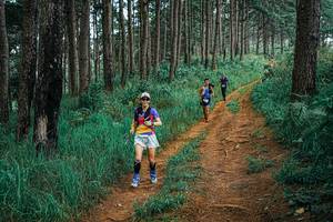 BIB: 
                            <button type="button" onclick="openModal(25659291)" class="btn btn-primary btn-sm float-right btn-popup" data-toggle="modal" data-target=".modal-high-quality">
                        <i class="fas fa-shopping-cart"></i> Add to Cart
                    </button>
                                            <button type="button" onclick="isThisMe(25659291, true)" class="btn btn-success btn-sm float-right btn-popup btn-isme hidden" data-toggle="tooltip" data-placement="bottom" title="นี่คือรูปของคุณใช่ไหม คลิกที่นี่เพื่อเอาเข้าอัลบั้ม">
                        <i class="fas fa-plus"></i> Add to album
                    </button>
                    <button type="button" onclick="isThisMe(25659291, false)" class="btn btn-warning btn-sm float-right btn-popup btn-isnotme hidden">
                        <i class="fas fa-ban"></i> Remove from album
                    </button>